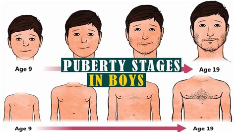 Puberty in Boys